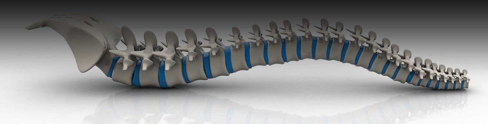 The Role of Nutrition in Supporting Spine Health – Daphco Bone Stims