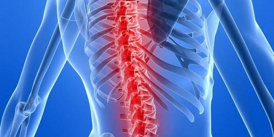 The Role of Physical Therapy in Treating Common Spine Conditions